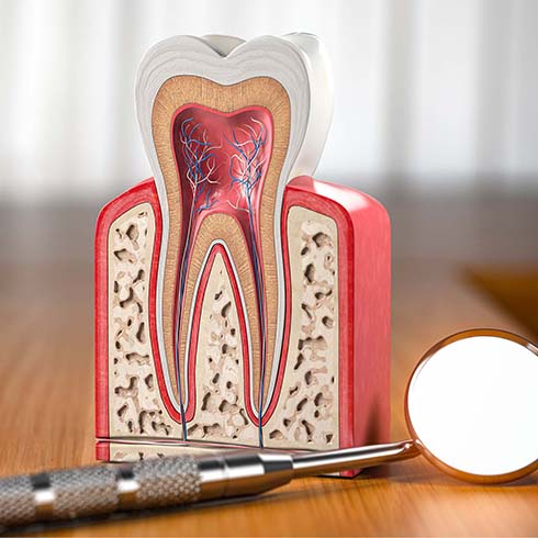 Endodontics in [practice:neighbourhood]